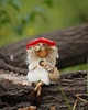 misie i maskotki Leśna Wróżka -Muchomorek - Waldorf toys
