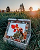 akcesoria różne Szkatułka drewniana