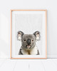 obrazy i plakaty do pokoju dziecięcego Plakat Koala - Plakat do pokoju dziecka