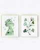 plakaty dwie grafiki botaniczne 30x40 cm
