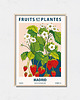 plakaty Plakat botaniczny "Madryt"