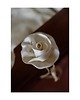 chokery Jedwabny kremowy choker