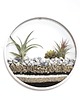 doniczki Circle planter "L" - dekoracja ścienna