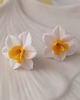 kolczyki z masy plastycznej Kolczyki "narcyz" handmade