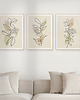 plakaty Zestaw 3 stylowych plakatów w stylu Boho, rośliny, liście, kwiaty, line art.