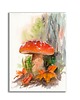grafiki i ilustracje Akwarela ręcznie malowana "Muchomor" jesień
