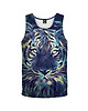 t-shirty dla chłopców Bokserka Top Boy DR.CROW Tiger Art