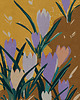 plakaty Plakat Fine Art giclee KROKUSY