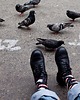 skarpetki męskie Gołębie i zapiekanki krakowskie kolorowe skarpetki we wzory Kabak