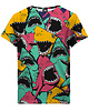 t-shirty dla dziewczynki T-shirt Girl DR.CROW Angry Sharks