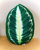 poduszki z grafiką Poduszka Liść Calathea Kalatea