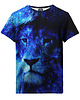 t-shirty dla chłopców T-shirt Boy DR.CROW Shinning Lion