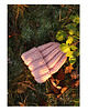 czapki damskie Czapka  beanie z wełną pudrowy róż