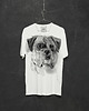 t-shirty męskie Boxer Dog Men's T-shirt white