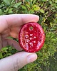 akcesoria różne Kamień antystresowy, worry stone, gładzik, kciukowiec