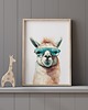 obrazy i plakaty do pokoju dziecięcego Plakat Lama w okularach P338