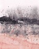 grafiki i ilustracje Blush A2