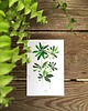 grafiki i ilustracje Leaf kartka pocztowa