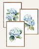 obrazy Niebieskie Hortensje - Zestaw trzech grafik