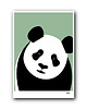 obrazy i plakaty do pokoju dziecięcego Plakat Panda zielona