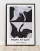 grafiki i ilustracje PLAKAT łabędź, Hilma af Klint, rysunek łabędzia