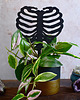 kwietniki Podpórka do roślin kwiatów - drabinka, anatomia, żebra, ribscage #8