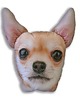 poduszki z grafiką Poduszkopies CHIHUAHUA