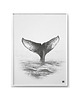 plakaty Plakat Ogon roz. 61x90 cm