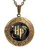 wisiory Medalion sekretnik Harry Potter - 0492