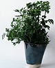wazony Ceramiczny wazonik