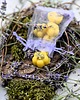 świeczniki i świece Wosk zapachowy Lawenda na bazie wosku pszczelego 5 szt. 50g