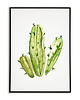 plakaty Plakat KAKTUS, grafika, obraz BOTANICZNY zielony 2