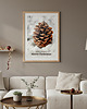 plakaty Plakat Frosted pine cone