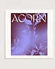 plakaty Acorn / Oryginalna grafika / poster print