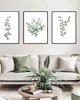 grafiki i ilustracje ZESTAW PLAKATÓW botanicznych eukaliptus