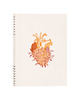kalendarze i plannery NOTES SERCE KREMOWE B5  160 stron  SZARE LINIE