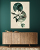 plakaty Magnolia - Plakat, druk - Chiński Orient, Harmonia Zen, Roślinny #7