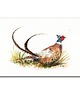 grafiki i ilustracje Akwarela ręcznie malowana "Bażant" ptaki
