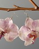 kolczyki z żywicy Kolczyki z kwiatów orchidei