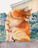 plakaty Plakat Il gatto