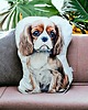 poduszki z grafiką Poduszka piesek przytulanka z pieskiem pies cavalier spaniel