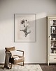 grafiki i ilustracje Mak  Fine Art Print
