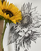 grafiki i ilustracje Słoneczniki 50x70 - grafika botaniczna