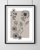 plakaty Plakat Flowers 1.0