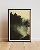 plakaty Plakat - Forest stories