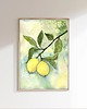 obrazy Oryginalna akwarela. Cytryny  A4