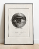 plakaty Plakat, vintage, retro - EYE