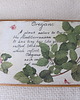 Ozdoby na ścianę Oregano