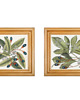 grafiki i ilustracje 2 grafiki botaniczne vintage plakaty roślinne