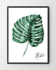 plakaty Plakat Monstera